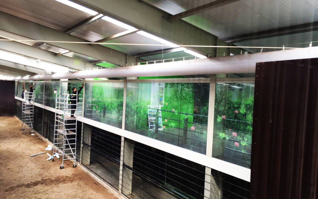 Stichting Leeuw Raambelettering One Way Vision folie